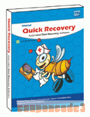 cheap Quick Recovery For Ms Excel - Technician License